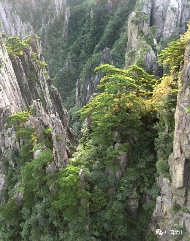 加拿大死亡之路人物性格-有问必答平台